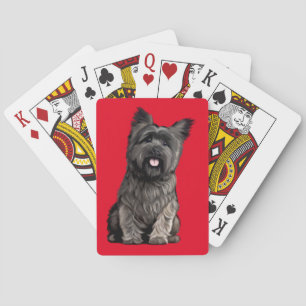 Jeu De Cartes Cairn Terrier