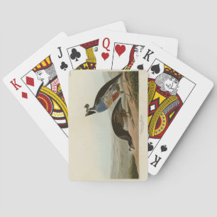 Jeu De Cartes California Partridge - Audubon's Birds of America