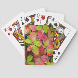 Jeu De Cartes Canada, Colombie-Britannique, mont Robson