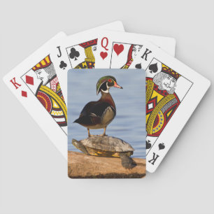 Jeu De Cartes Canard branchu mâle debout sur une Tortue à oreill