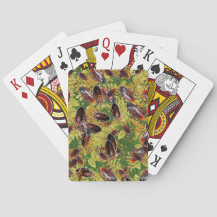 Jeu De Cartes Cancrelats