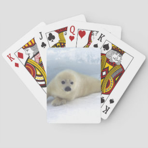 Jeu De Cartes Capture