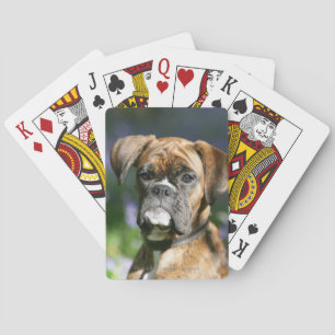 Jeu De Cartes Capture d'écran du chien de boxe