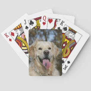 Jeu De Cartes Capture d'écran Golden Retriever 3