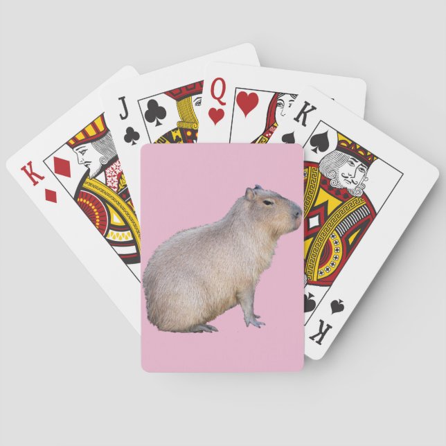 Jeu De Cartes Capybara (dos)
