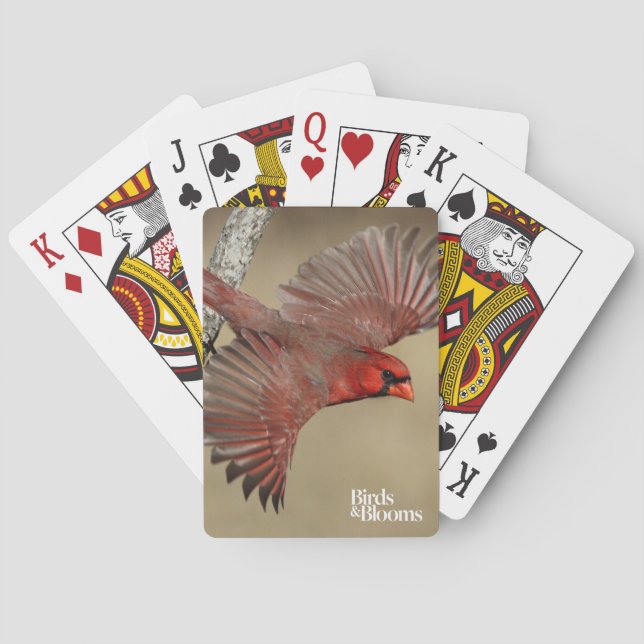 Jeu De Cartes Cardinal du nord en vol (dos)