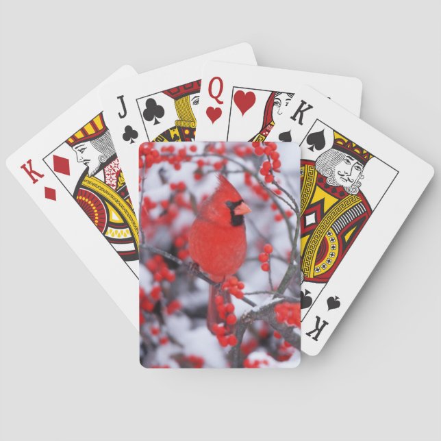 Jeu De Cartes Cardinal du Nord, Hiver, IL (dos)