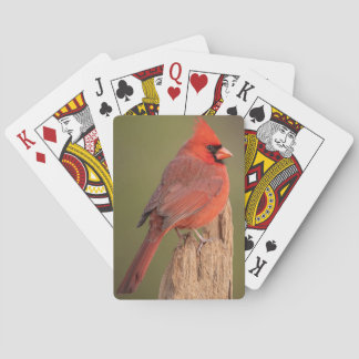 Jeu De Cartes Cardinal rouge