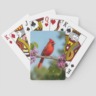Jeu De Cartes Cardinal sur une branche de Redbud