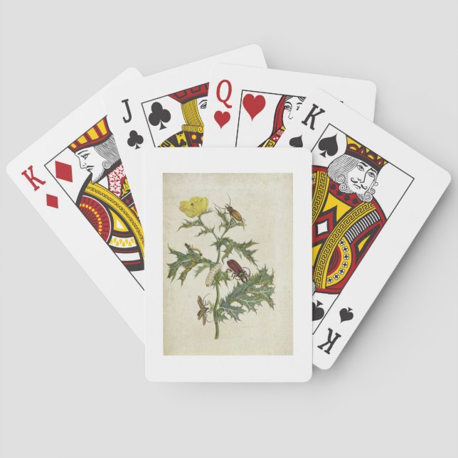 Jeu De Cartes Cardos Spinosus : Beetles et Caterpillar, plaque 6 (dos)