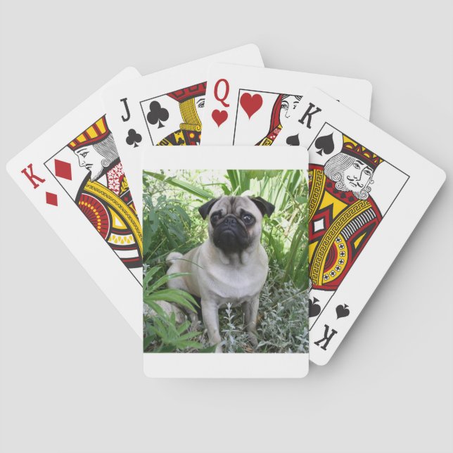 Jeu De Cartes carlin assis (dos)