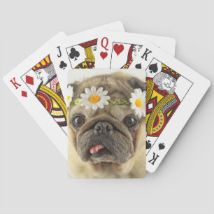 Jeu De Cartes Carlin avec couronne de marguerite