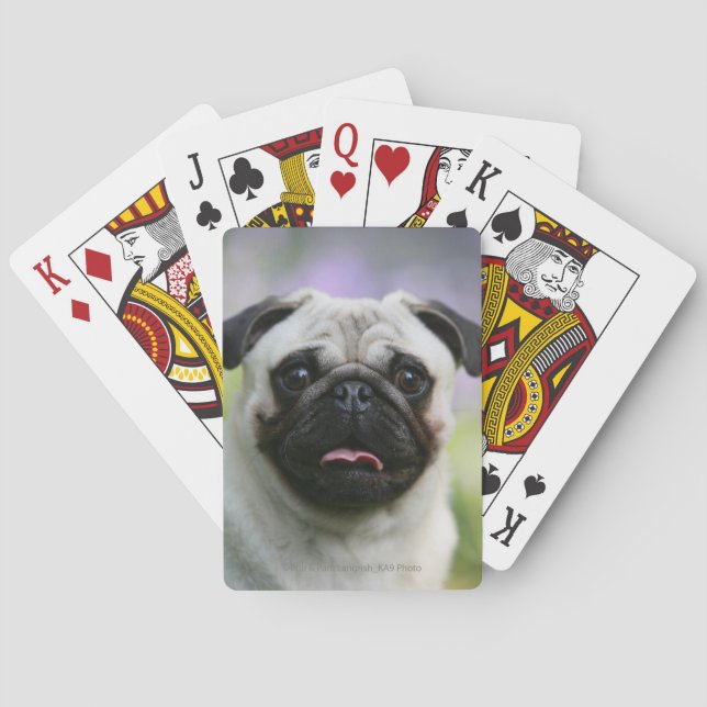 Jeu De Cartes Carlin Feu en alerte (dos)