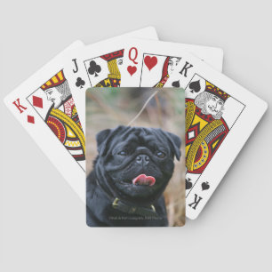 Jeu De Cartes Carlin noir haletant tout en regardant