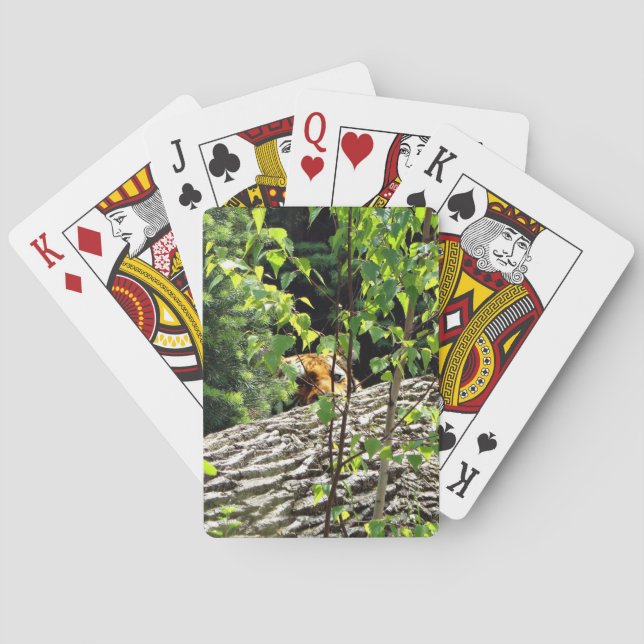 Jeu De Cartes Carte à jouer Tigre Cache-cache (dos)