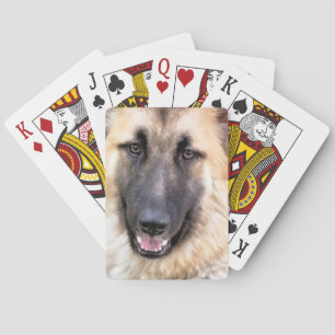 Jeu De Cartes Carte SHEPHERD ALLEMANDE
