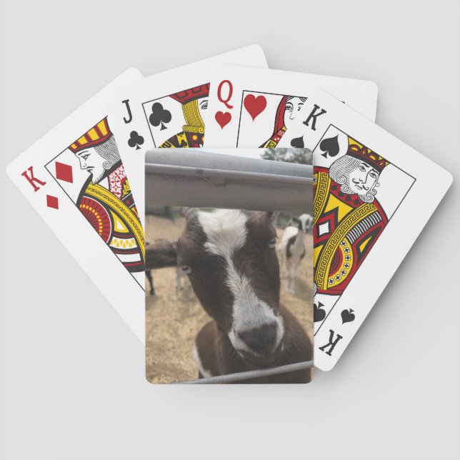 Jeu De Cartes Cartes de chèvre (dos)
