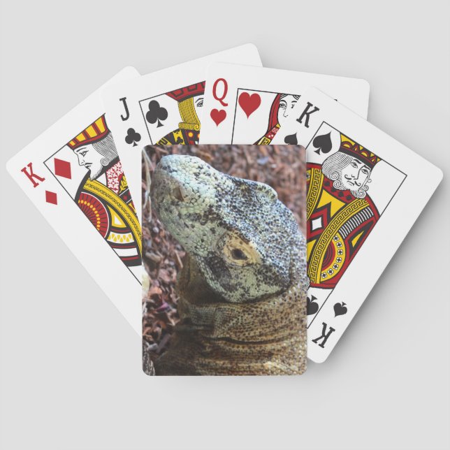 Jeu De Cartes Cartes de dragon de Komodo (dos)