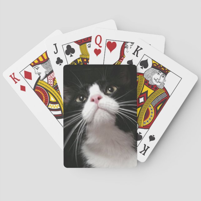 Jeu De Cartes cartes de jeu (dos)