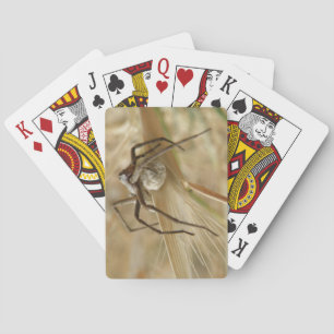 Jeu De Cartes Cartes de jeu Araignée et Oeuf Sac