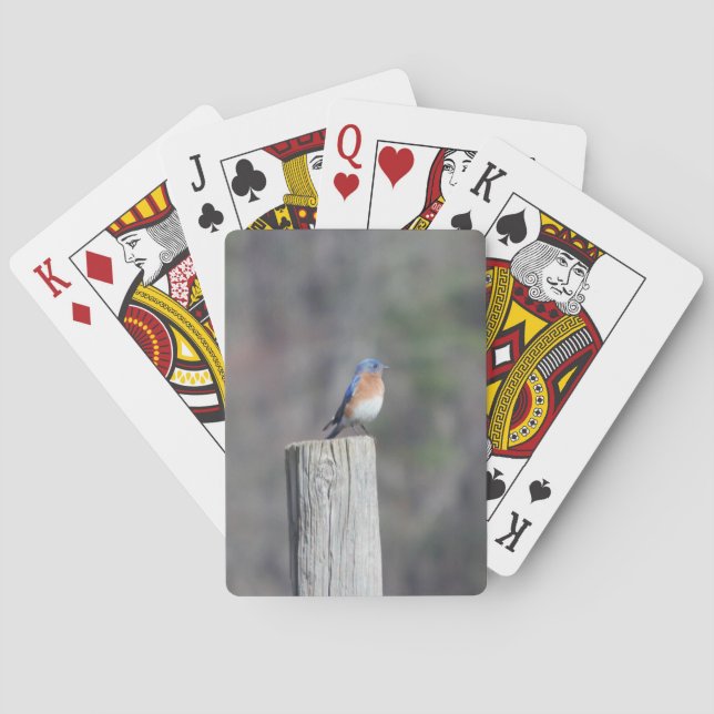 Jeu De Cartes Cartes de jeu Blue Bird (dos)