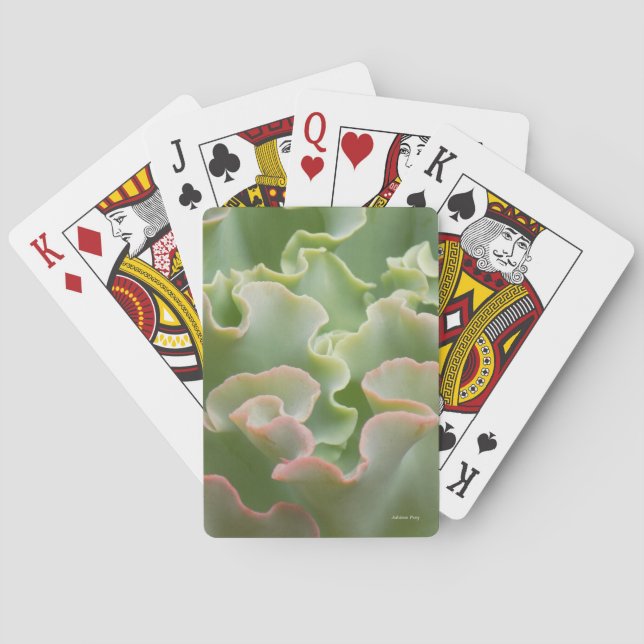 Jeu De Cartes Cartes de Jeu Classique Plante Vert (dos)