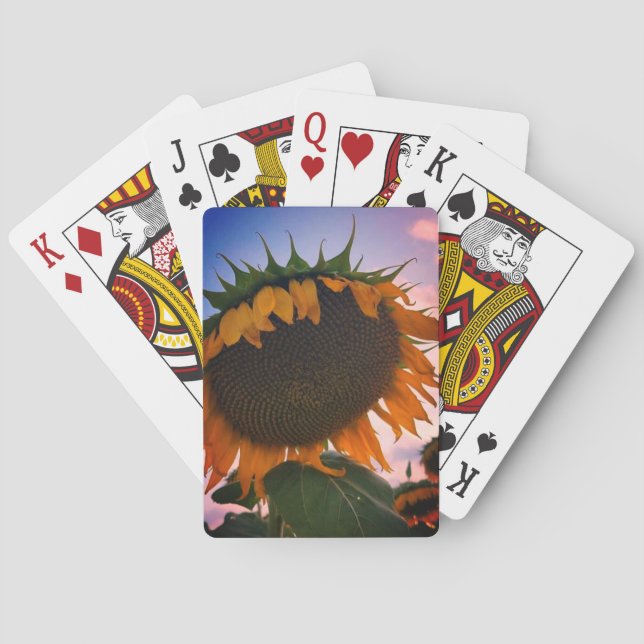 Jeu De Cartes Cartes De Jeu Classique Tournesol (dos)