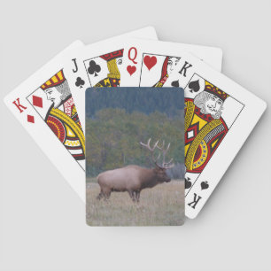 Jeu De Cartes Cartes de jeu classiques de wapitis taureau
