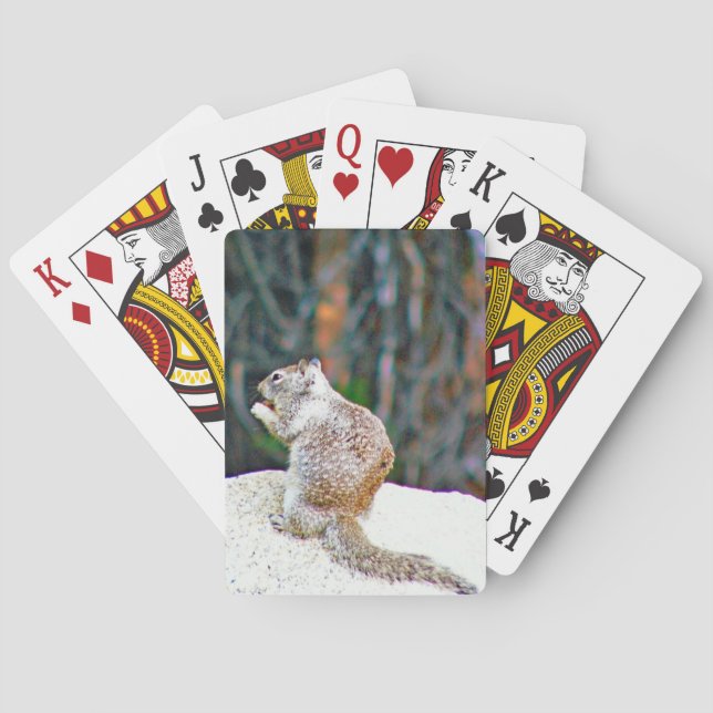 Jeu De Cartes Cartes de jeu classiques d'écureuil (dos)