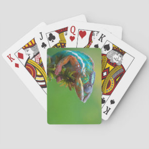 Jeu De Cartes cartes de jeu colorées de lézard