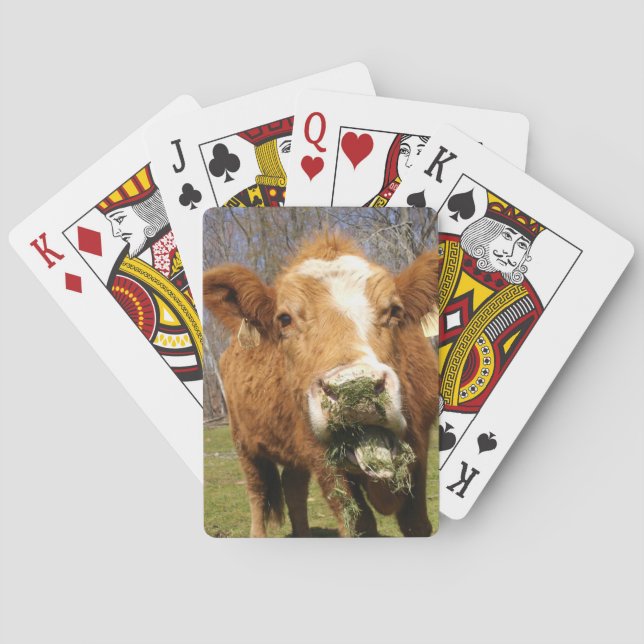 Jeu De Cartes Cartes de jeu Cow Bicycle® (dos)