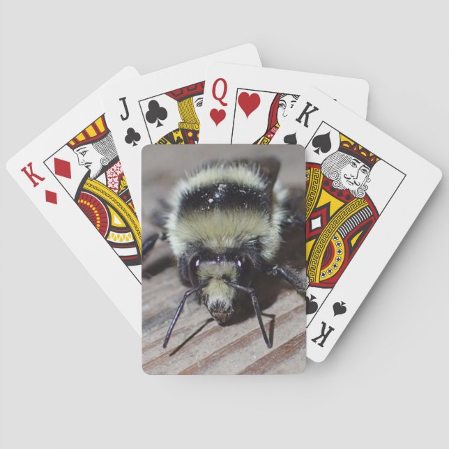 Jeu De Cartes Cartes de jeu de bourdon (dos)
