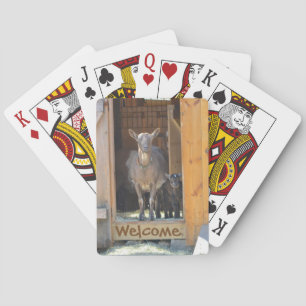 Jeu De Cartes Cartes de jeu de chèvre