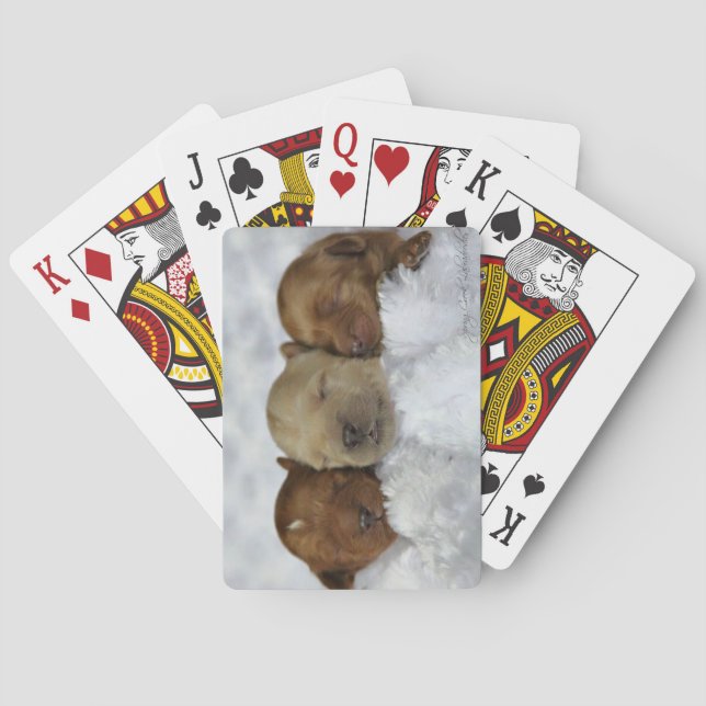 Jeu De Cartes Cartes de jeu de chiot de Labradoodle (dos)