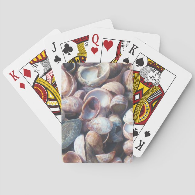 Jeu De Cartes Cartes de jeu de coquillages (dos)
