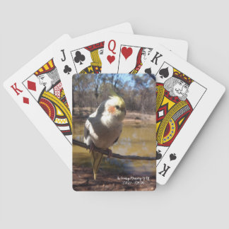 Jeu De Cartes Cartes De Jeu De Cuisine Cockatiel
