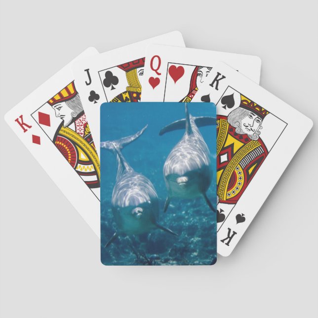 Jeu De Cartes Cartes de jeu de dauphin (dos)