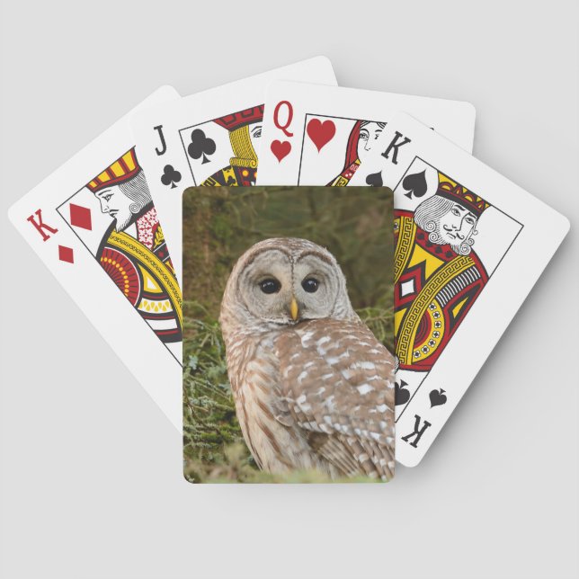Jeu De Cartes Cartes de jeu de hibou barré (dos)