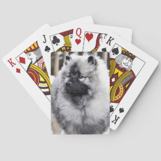 Jeu De Cartes Cartes de jeu de Keeshond