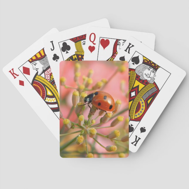 Jeu De Cartes Cartes de jeu de Madame Bug (dos)