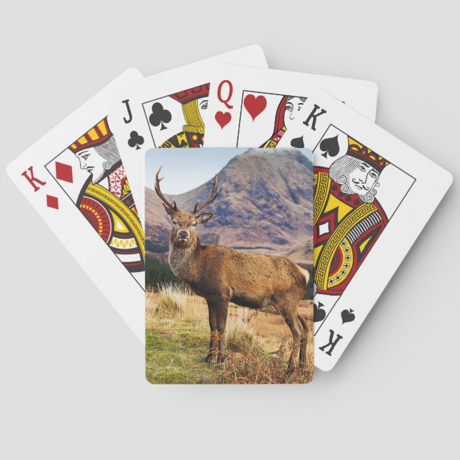 Jeu De Cartes Cartes de jeu de mâle (dos)