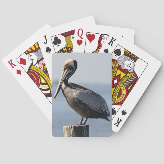 Jeu De Cartes Cartes de jeu de pélican (dos)