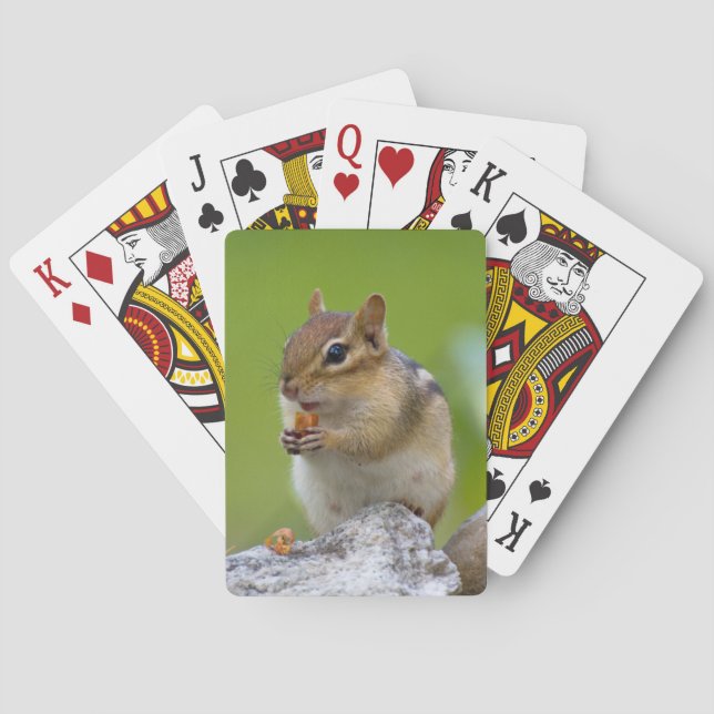 Jeu De Cartes Cartes de jeu de tamia (dos)