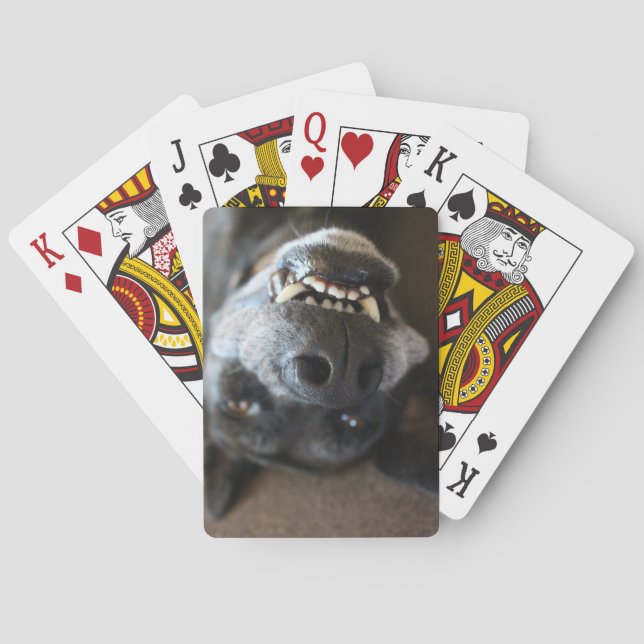 Jeu De Cartes Cartes de jeu de Teef du gauchiste (dos)