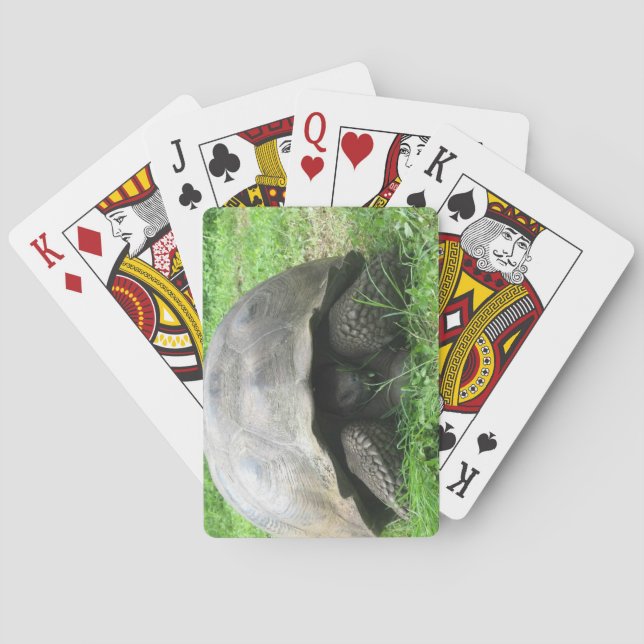 Jeu De Cartes Cartes de jeu de tortue géante (dos)