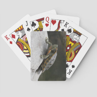 Jeu De Cartes Cartes de jeu de tortues