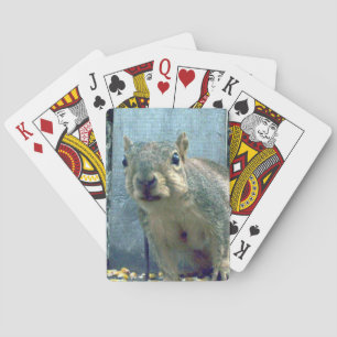 Jeu De Cartes Cartes de jeu d'écureuils