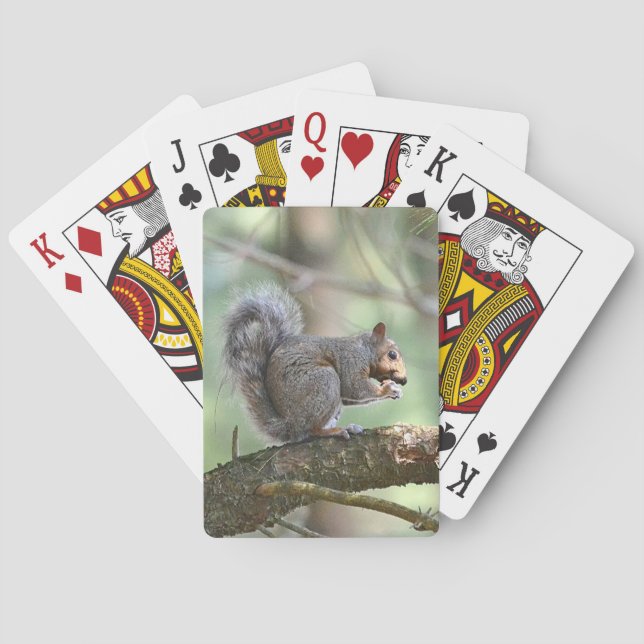 Jeu De Cartes Cartes de jeu d'écureuils (dos)