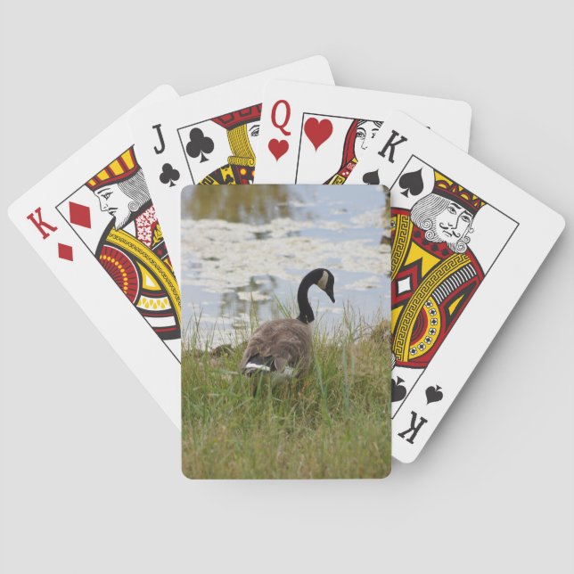 Jeu De Cartes Cartes de jeu d'oie du Canada (dos)
