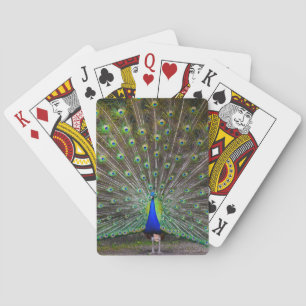 Jeu De Cartes Cartes de jeu fières de paon